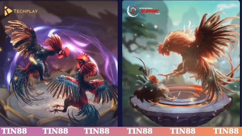 Nhà cái cam kết về đường link cung cấp bởi nhà cái