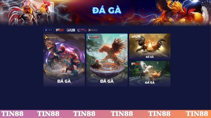 Theo dõi trận đấu đá gà để dự đoán kết quả chính xác