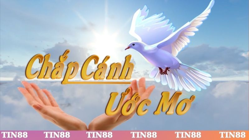 Điểm qua các thành tựu nổi bật của chương trình thiện nguyện